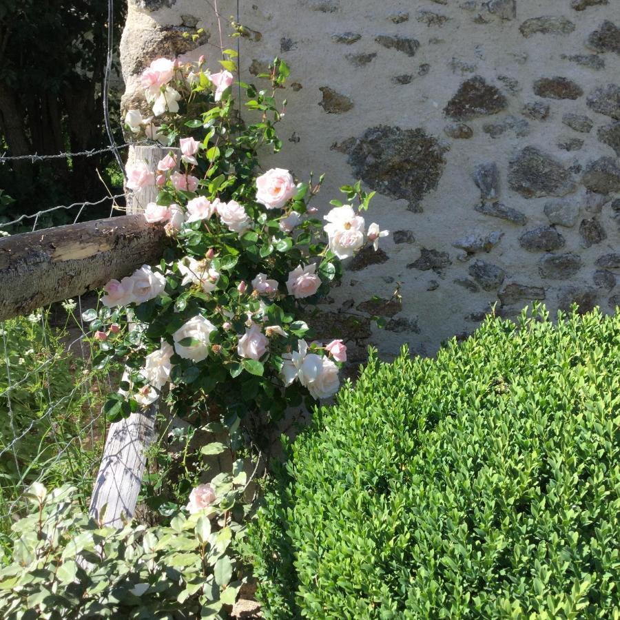 Les Epis Du Vent Bed & Breakfast Adilly Exterior photo